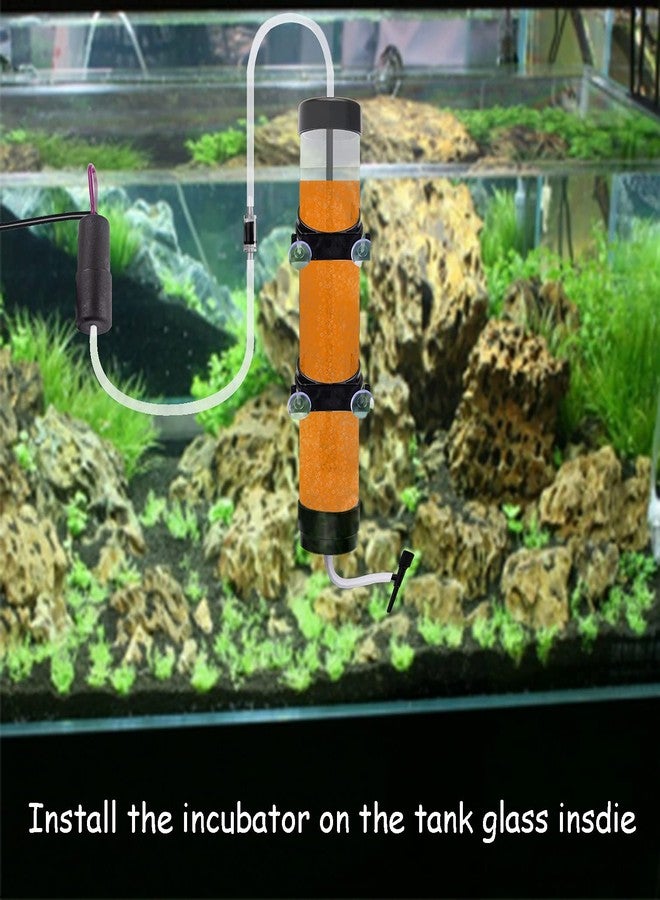 NestBasics Brine Shrimp Hatchery Kit - Artemia Eggs Incubator - Image 4